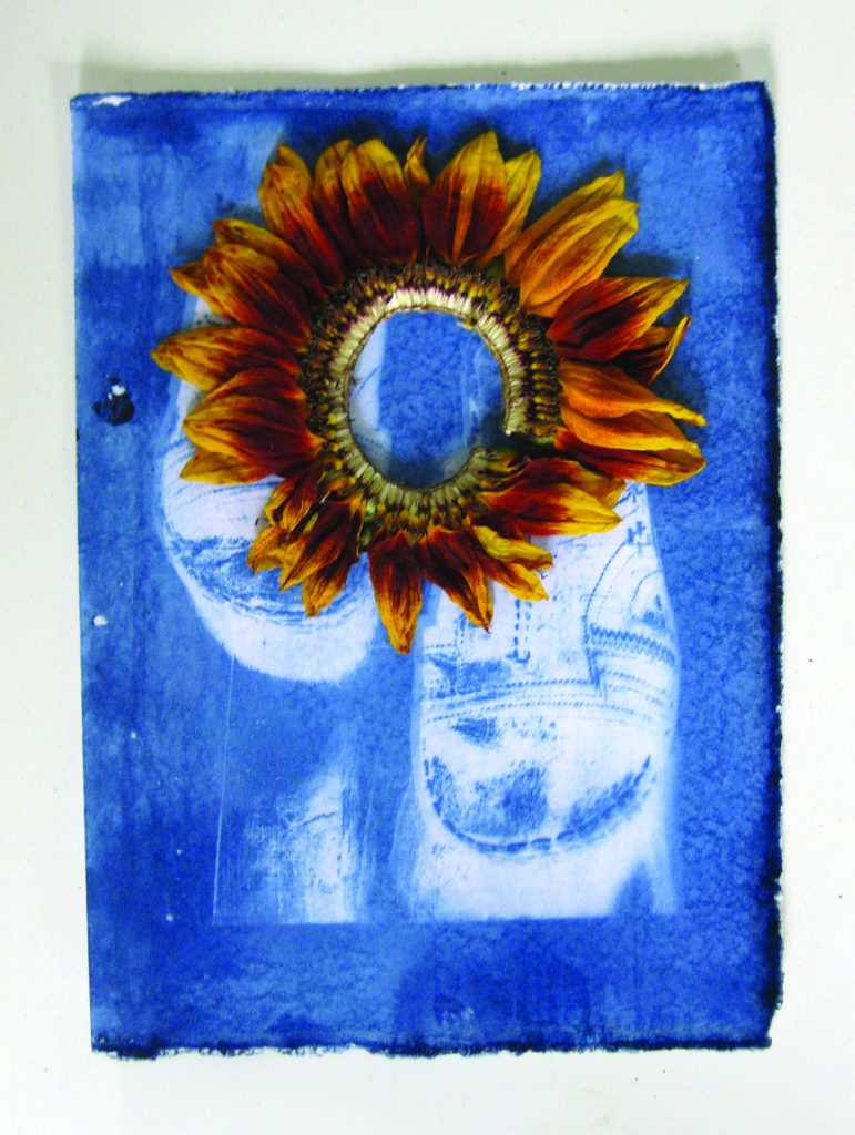 Davina Kirkpatrick's Cyanotype of slippers with sunflower, from residency at CAKE kildare, Ireland