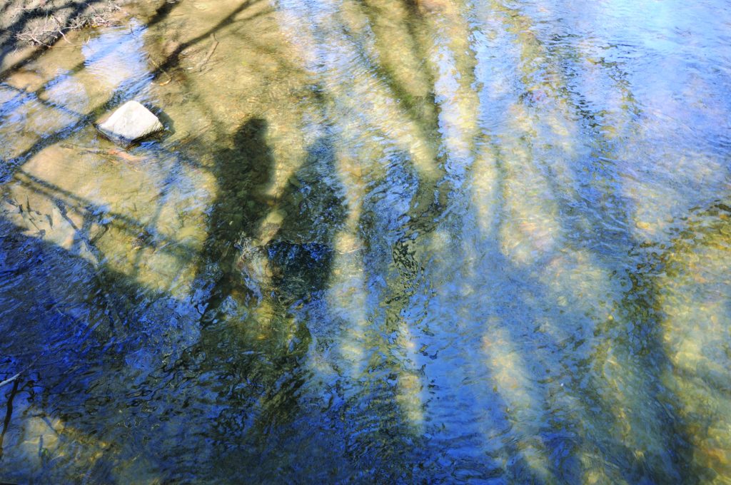 shadows and reflections at Kington