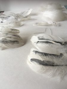 vessels made from swans feathers with hands screen printed onto them