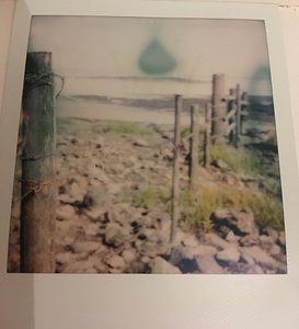Polaroid picture of a fence at black rock nature reserve that goes from beach into the sea