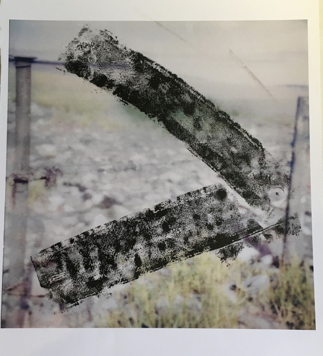 enlarged hazy polaroid of Black Rock nature reserve with black printed tatters
