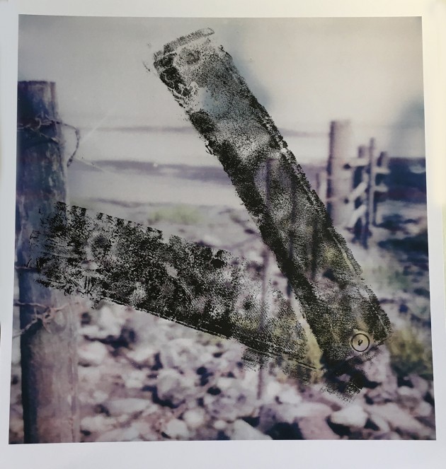 enlarged hazy polaroid of Black Rock nature reserve with black printed tatters