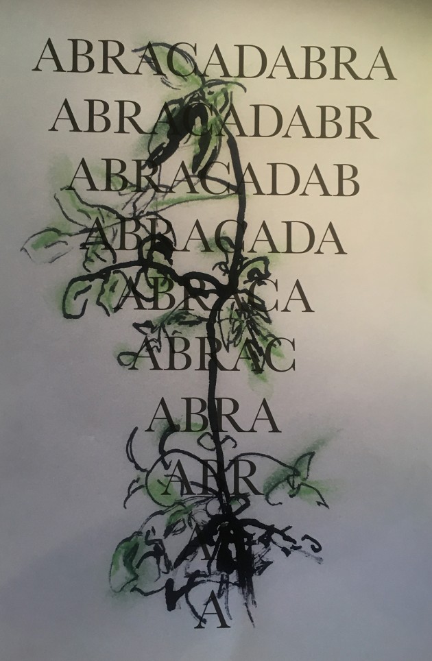drawing of elder tree with words abracadabra placed over the top in a diminishing triangle