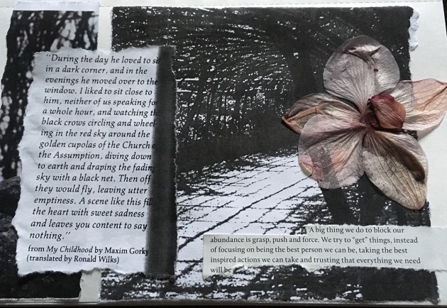 collage with path and pressed orchid flower
