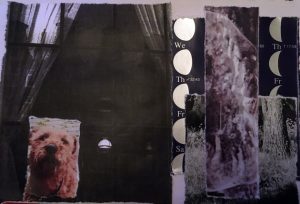 collage with dog, lunar calendar and bubbles
