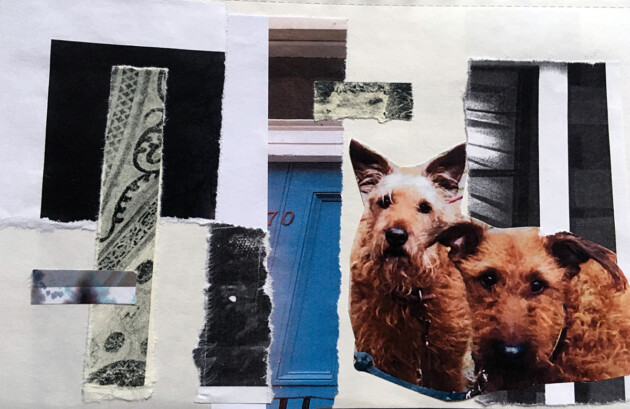 collage two irish terriers and bits of landscape