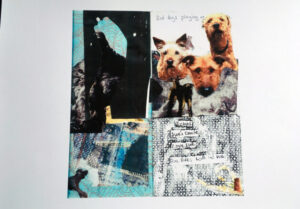 collage of red dogs, hand silhouette and crossmatched pattern with words