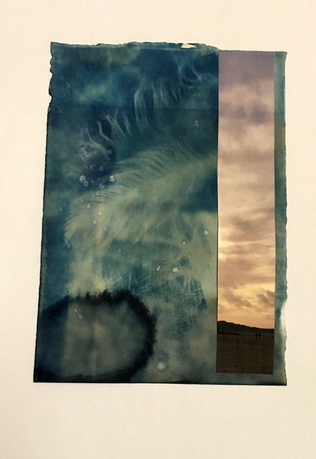 cyanotype of feathers with strip of sunrise photo added down right hand side.