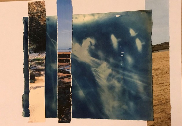 cyanotype of birds and feathers with vertical collage strips of beach photos.