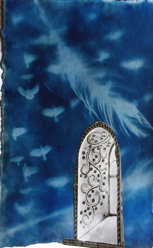 collage of cyanotype of feathers and birds and a decorated window