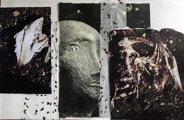 Collage of dead decomposed swan and statute head with glitter paper interspersed.