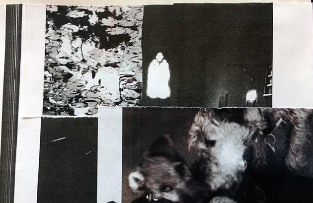 b & w collage of water reflections, silhouette of arched window and ulf as apuppy with his mum.