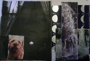 collage of dark window, Ulf dog, moon cycles and tree/rock textures.