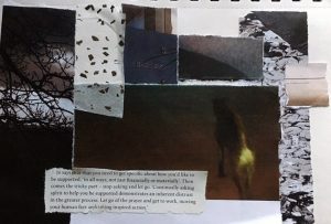 collage of trees, water and Ulf dog