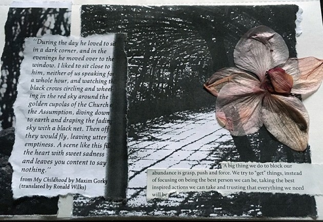 collage of a b& w image of birdcage walk, text and a pressed orchid flower