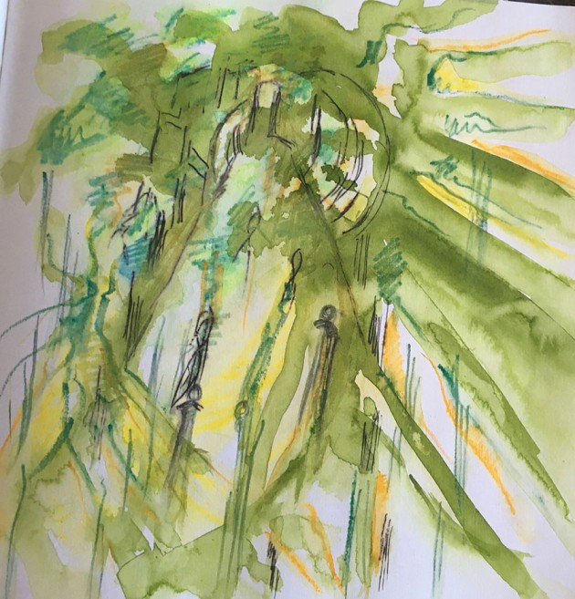 ink and pencil drawing, greens, yellows, of light through trees.