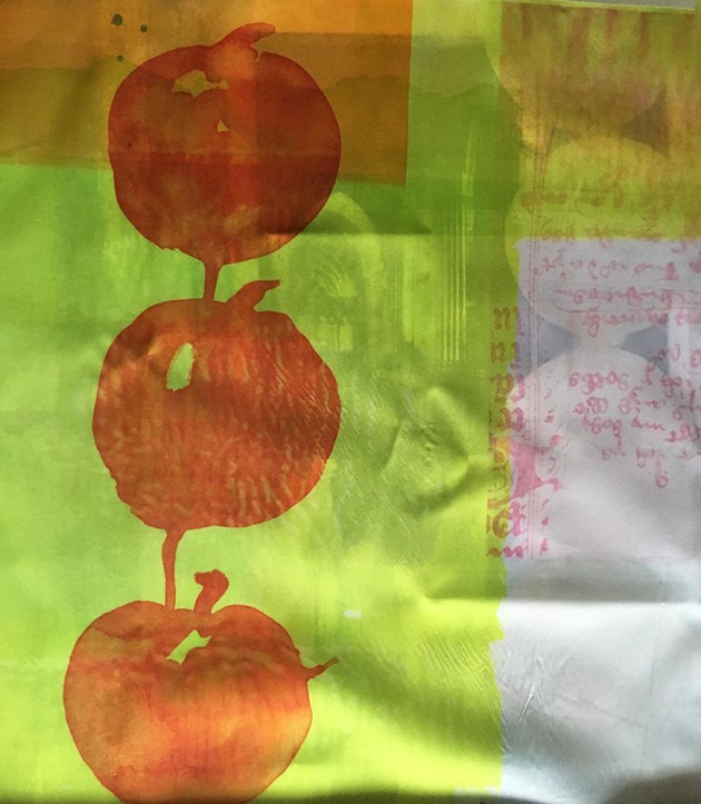 heat transfer print on fabric pomegranates printed over green background with shadow print of Exeter cathedral and pink text.